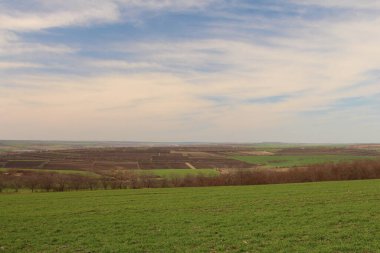 Ağaçlarla kaplı güzel bir manzara.