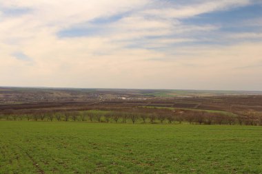 Tarlaları ve ağaçları olan manzara