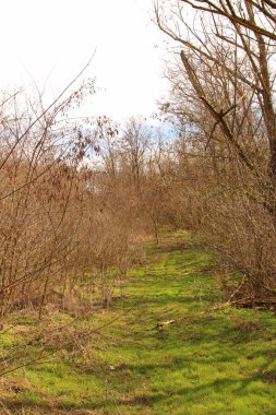 Doğanın güzel manzarası