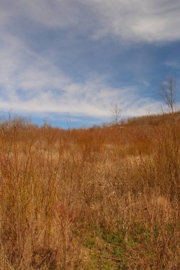 Doğanın güzel manzarası