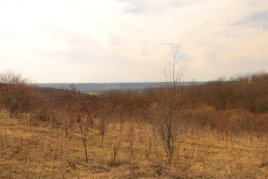 Doğanın güzel manzarası