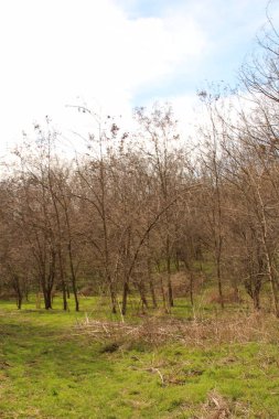Doğanın güzel manzarası