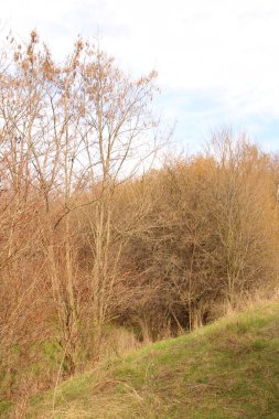 Sonbaharın güzel manzara