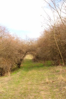 Doğanın güzel manzarası