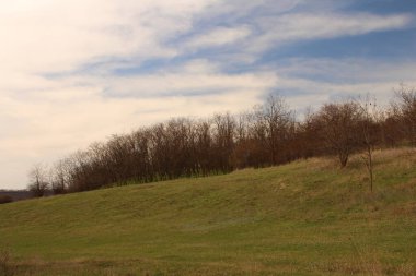 İlkbaharda tepeleri ve ağaçları olan güzel bir manzara Bieszesesin poland köyünde..