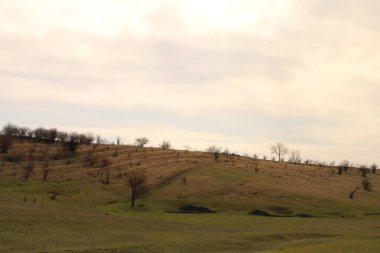Kırsalda güzel bir tarla görüntüsü.