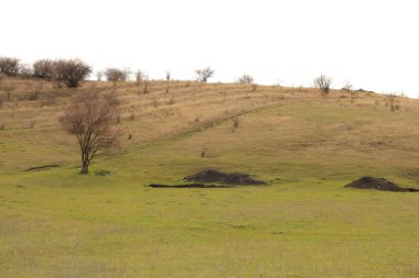 Kırsal manzarası çok güzel.
