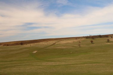 Yeşil çimlerin manzarası ve mavi gökyüzü