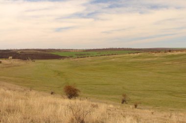 Ağaçlarla dolu bir tarlası ve bulutlu bir gökyüzü olan kırsal alan.