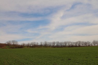 Kırsaldaki yeşil çimlerin güzel bir görüntüsü.