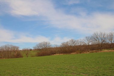 Yeşil tarla ve bulutlu gökyüzü