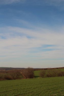Ağaçları ve yeşil otları olan güzel bir manzara.