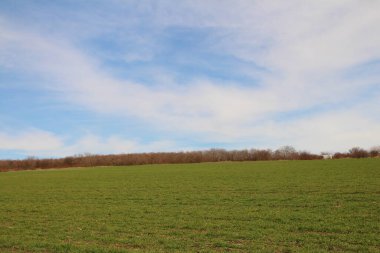 Mavi gökyüzü ve beyaz bulutlu yeşil alan