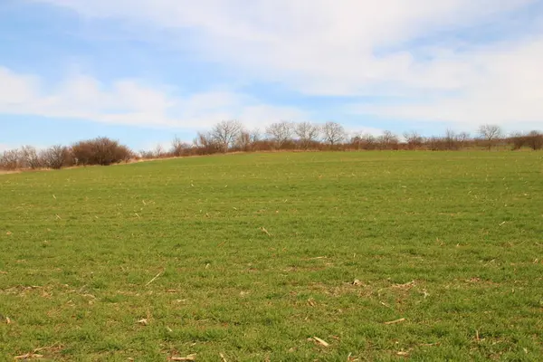 Kırsalda bahar çayırı