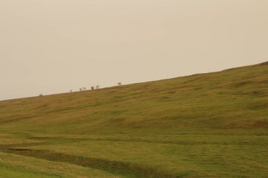 Sabahleyin dağların manzarası.