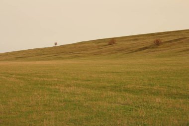 Kırsaldaki güzel yeşil alan.