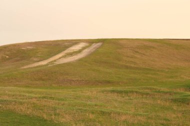 Yeşil çimen ve mavi gökyüzü olan güzel bir manzara.