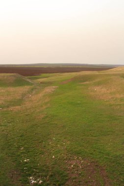 Buğday tarlası ve bulutlu gökyüzü olan güzel bir manzara.