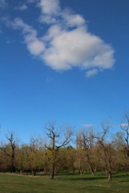 Mavi gökyüzü ve bulutlu güzel bir manzara.
