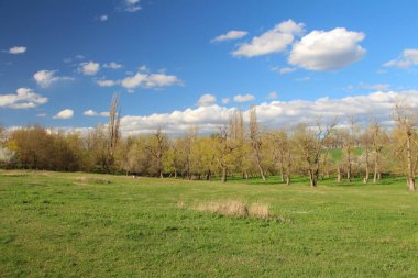 Ağaçlı bahar çayırı