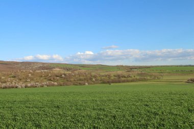 Mavi gökyüzü ile bahar manzarası