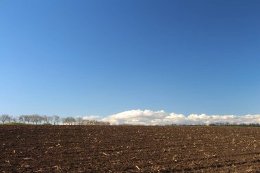 güzel tarım arazisi.