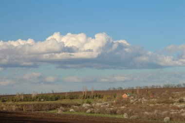 Güneşli bir günde çimen ve bulut tarlası
