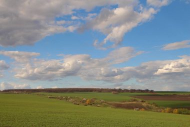 Mavi gökyüzü ve bulutlu bir günde beyaz bir bulutun dikey görüntüsü.