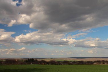 Ağaçlar ve mavi gökyüzü olan güzel bir manzara.