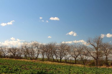 Parkın güzel manzarası