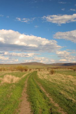 Doğanın güzel manzarası