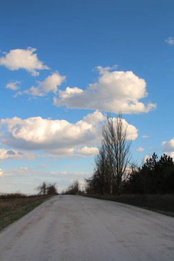 Gökyüzünde çıplak ağaçlar ve bulutlar olan toprak yol.