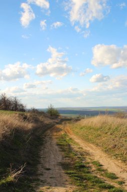 Tarlada yol