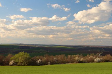 Bahar tarlası ve mavi gökyüzü