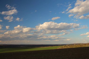 Yeşil Çimen ve Mavi Gökyüzü