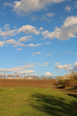 Ağacı ve tarlası olan güzel bir manzara.