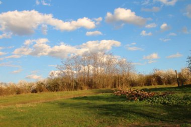 Ağaçları ve mavi gökyüzü olan güzel bir manzara.