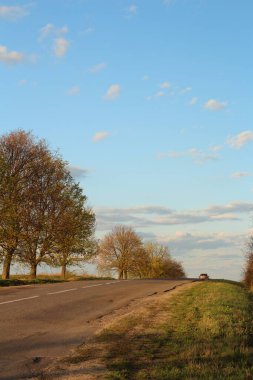 Doğanın güzel manzarası