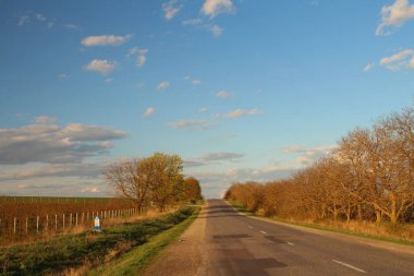 Tarlalarda ve tarlalarda yol