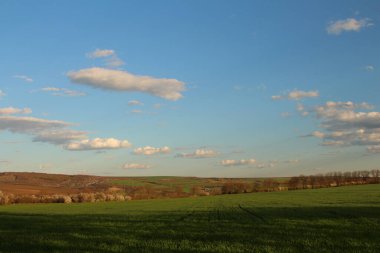 Ağaçlar ve mavi gökyüzü olan güzel bir manzara.