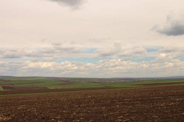 Saha manzarası ve bulutlu gökyüzü