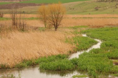 Kuru çimenleri ve arka planda küçük bir köyü olan bir nehir manzarası.