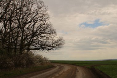 İlkbaharda tarlalarda ve ağaçlarda yol