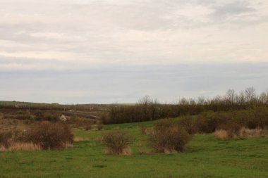 Ağaçlar ve mavi gökyüzü olan güzel bir manzara.