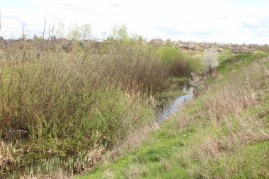 Parkta nehir manzarası