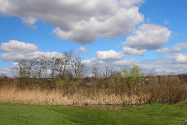 Nehir ve gölü olan güzel bir manzara.
