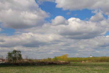 Ağacı, mavi gökyüzü ve beyaz bulutları olan güzel bir manzara. bahar manzarası.