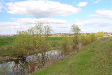 Nehir, ağaçlar ve yeşil otlarla kaplı bahar manzarası