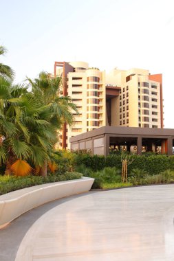Palmiye ağaçları ve palmiye ağaçları olan lüks bir otel havuzu.
