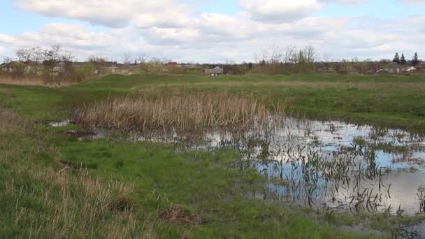 Köyde Göleti Olan Küçük Bir Nehir — Stok video